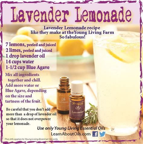 Lavender Lemonade Recipe Straight From Our Utah Farm Kats Corner