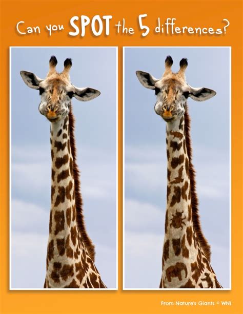 Spot The Difference Giraffe Mongabay Kids