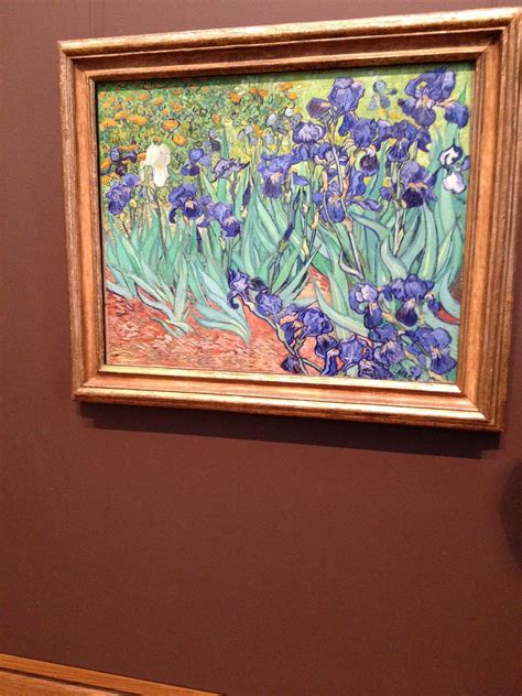 Irises Vincent Van Gogh The J Paul Getty Museum Los Angeles