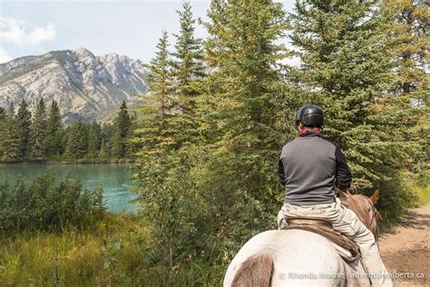 Horseback Riding In Banff What To Expect On A Guided Banff Trail Ride