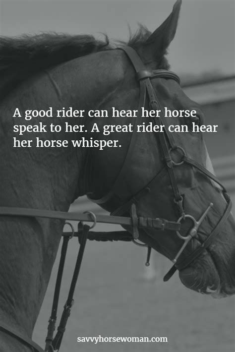 15 Horse Love Quotes And Sayings Love Quotes Collection Within Hd Images