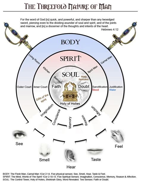 Body Soul Spirit Bible Diagram Wiring Site Resource