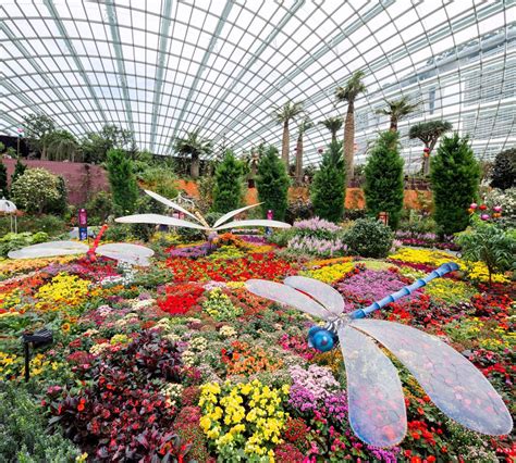 Flower Dome At Gardens By The Bay Blog With Hobbymart