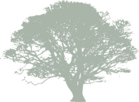 Download High Quality Tree Clipart Wedding Transparent Png Images Art