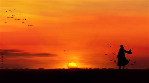 Wallpaper 1920x1080 Px Anime Birds Silhouette Sunset