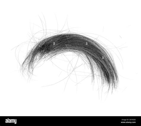 Hair Bundle Isolated On White Background Tuft Hair Close Up Stock
