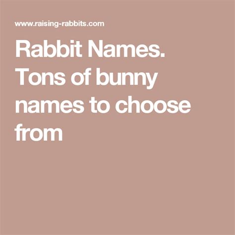 Rabbit Names Tons Of Bunny Names To Choose From Rabbit Names Bunny