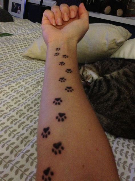 Cat Paw Prints Tattoo Cat Meme Stock Pictures And Photos