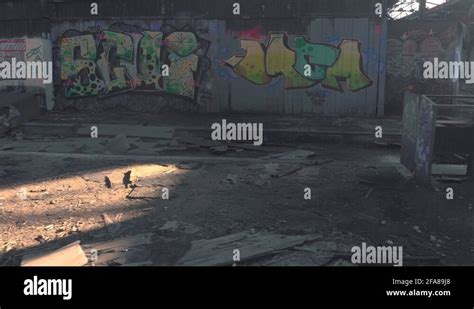 Dust Graffiti Stock Videos And Footage Hd And 4k Video Clips Alamy