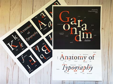 Type Anatomy Poster And Accordion Book On Behance