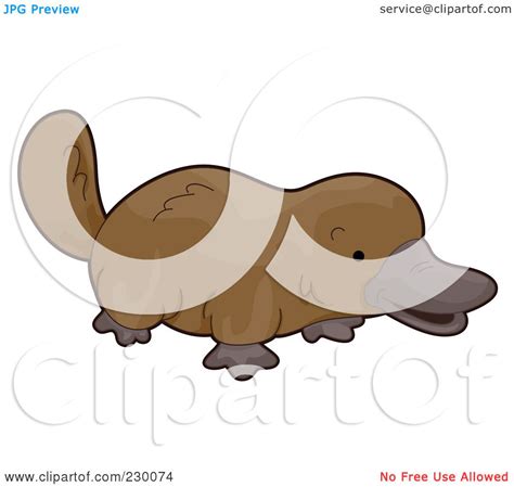 Royalty Free Rf Clipart Illustration Of A Cute Platypus