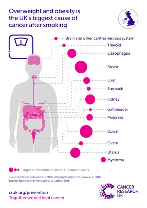 Overweight And Obesity Statistics Cancer Research Uk