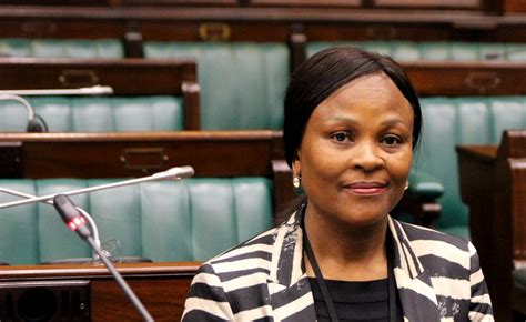 South Africa Who Will Be Our Next Public Protector Here Are The