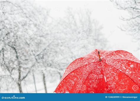 Close Up Of Red Umbrella In Snow Stock Image Image Of Cold Peaceful