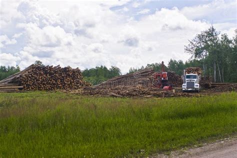 Logging Operations Stock Photo Image Of Forestland Wood 5984344