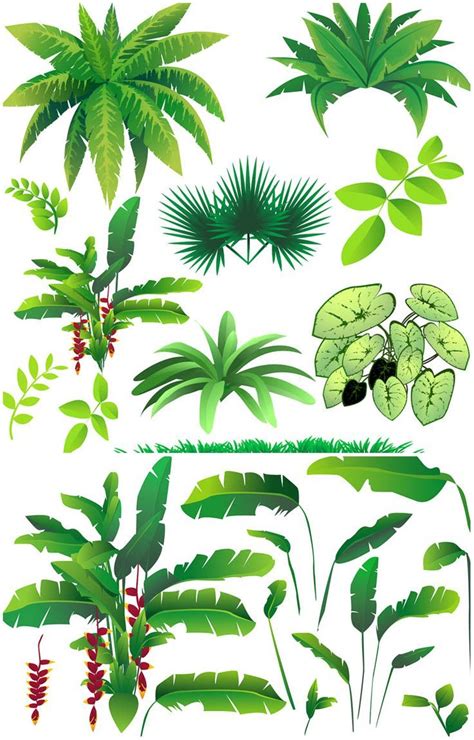 Rainforest Plants Vector Vector Graphics Blog Rainforest Plants