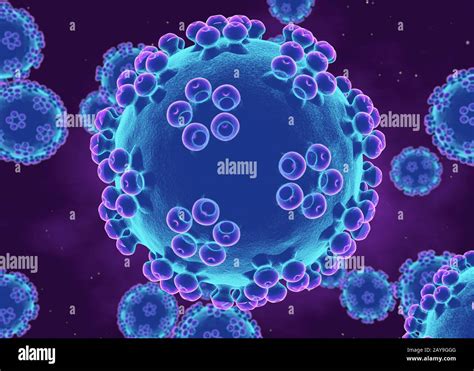 Human Papillomaviruses Illustration Stock Photo Alamy