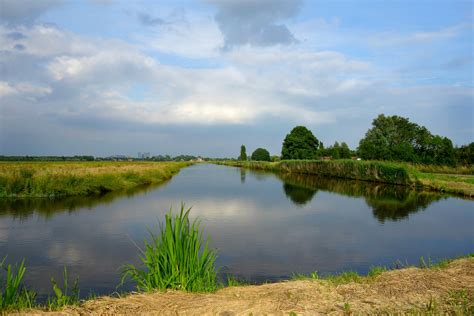 Free Images Tree Nature Grass Marsh Cloud Sky Meadow