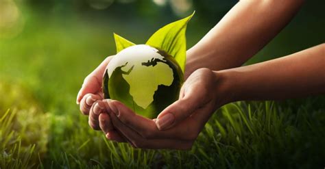 10 Ways To Save The Enviroment 2022