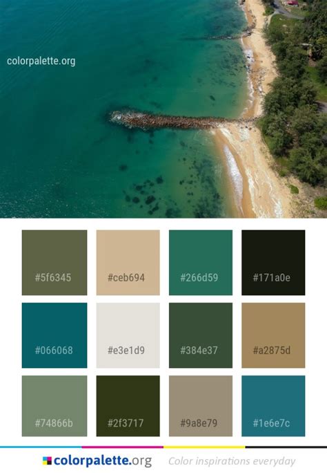 Sea Coastal And Oceanic Landforms Water Color Palette