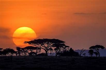 Serengeti Wikipedia Sunset