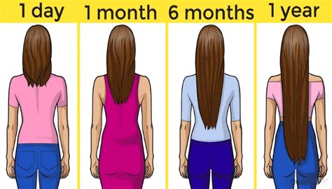This article will tackle how important eating nutritional foods helps hair growth. Hair Growth Tips: How to Make Your Hair Grow Faster | Kislly