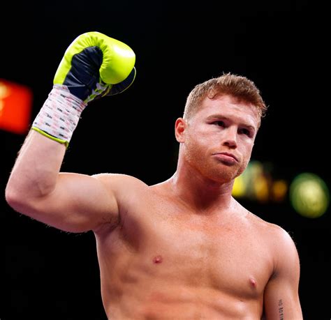 His performances inside the ring have been unprecedented. Canelo Alvarez Biography & Net Worth (2021) - Busy Tape