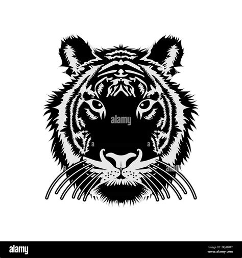 Tiger Face Drawing Hi Res Stock Photography And Images Alamy