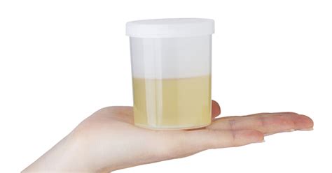 Drink Urine Safely With Lifestraw Attn