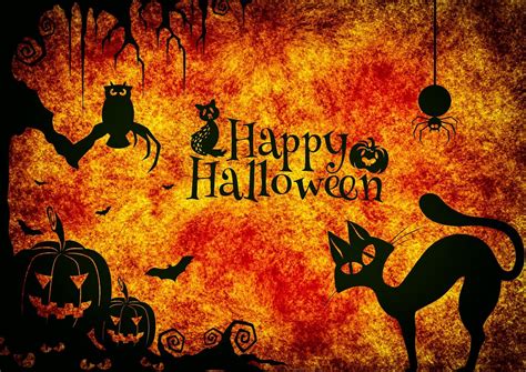 Free Image on Pixabay - Halloween, Cat, Weird, Surreal | Halloween ...