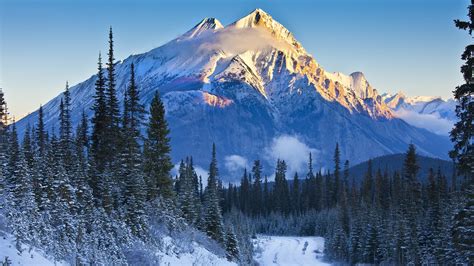 Alberta Banff National Park Canada Mountains Trees Snow Road