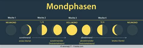 Im folgenden finden sie die mondphasen für das laufende und den nächsten monat, damit sie wissen, wann unser mond die betrachtung des nordlichts stören könnte. Vollmondkalender für 2015 - Wann ist Vollmond ...