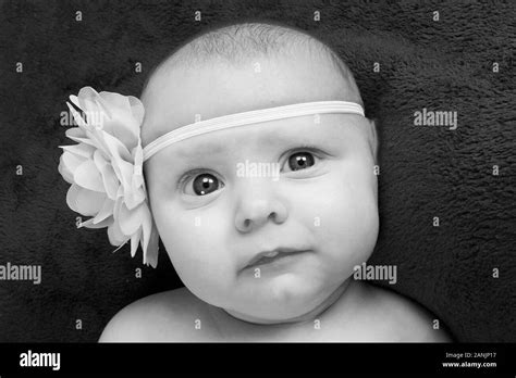 3 Month Old Baby Girl Stock Photo Alamy