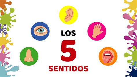 Los 5 Sentidos Para Niños Aprendizaje Infantil Youtube