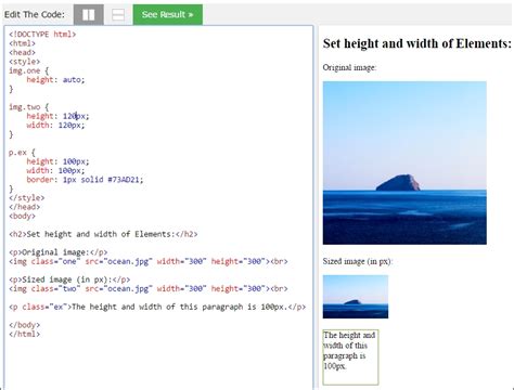 Setting The Height And Width Of An Image Element With Css Moodle