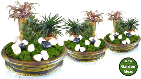 Tabletop Plants Decoration Ldeasindoor Plant Potsmoss Garden Youtube