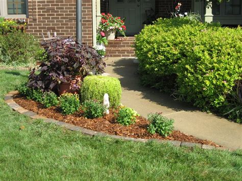 They are bright, desired, pleasantly smell. New Flower Bed