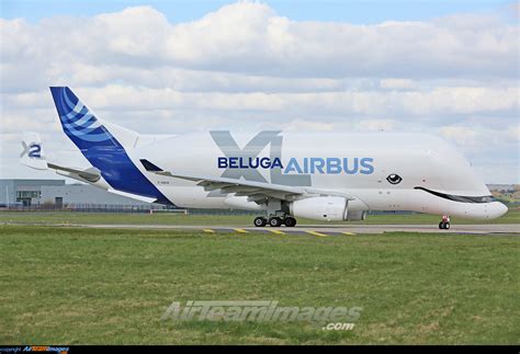 Airbus Beluga Xl Large Preview