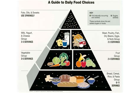 Do you remember learning about the food groups in school? The Food Pyramid and Other Options | Military.com