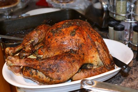 Easy Turkey Recipe Amotherworld