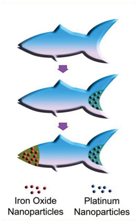 Micro Fish To Sense Toxins And Deliver Drugs 3d Printed Nanobots