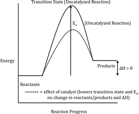 Exothermic Reaction With Catalyst
