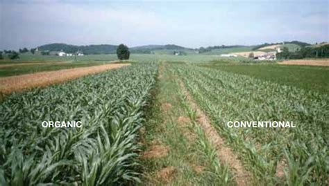 Limit the size of the farms per player. Does Organic Farming Outperform Conventional Farming ...