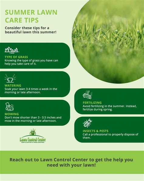 Summer Lawn Care Tips Homeowners In Cleveland