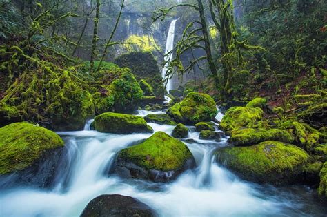 Elowah Falls In Oregon Forest Stream Rocks Quiet Calmness Lovely