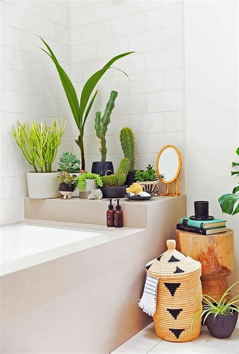 20 Beautiful Low Light Bathroom Plants Ideas Sweetyhomee
