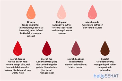 Darah Haid Berwarna Hitam Di Hari Pertama Mengenalpasti Warna Darah