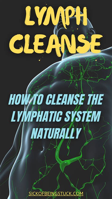 How To Cleanse The Lymphatic System Naturally In 2021 Lymphatic