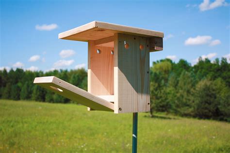 How To Build A Bluebird Nest Box Audubon