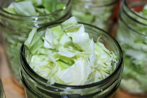 Check spelling or type a new query. Canning Cabbage | Canning cabbage recipes, Canning cabbage ...